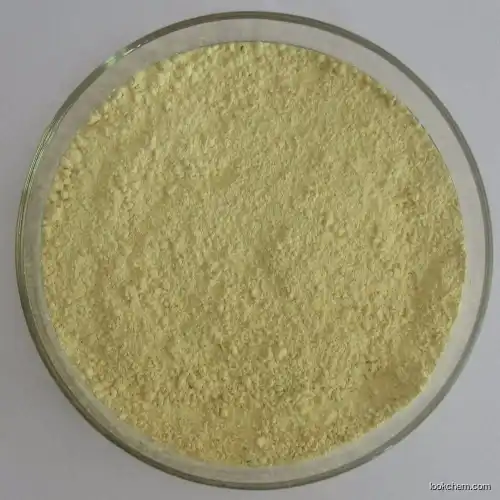 High Purity Olopatadine Hydrochloride CAS 140462-76-6 with Fast Shipment