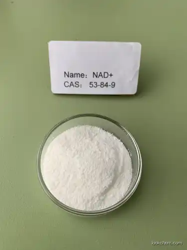 High Quality NAD+ 98.5% Supplement China Manufacturer(53-84-9)