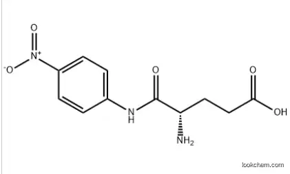alpha-L-Glutamyl-p-nitroanilide CAS 24032-35-7