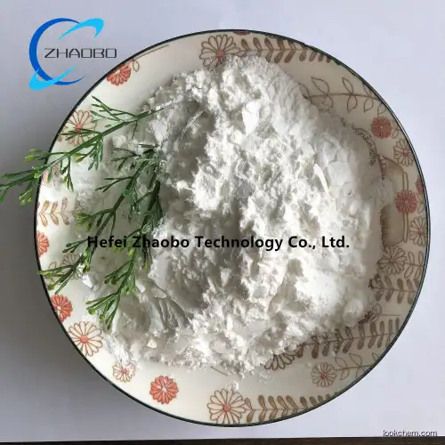 2,6-Dichloropurine supplier CAS 5451-40-1