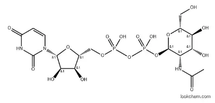 uridine diphosphate N-acetylmannosamine CAS：26575-17-7
