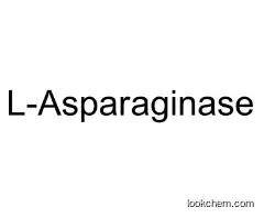 Asparaginase 9015-68-3 L-Asparaginase