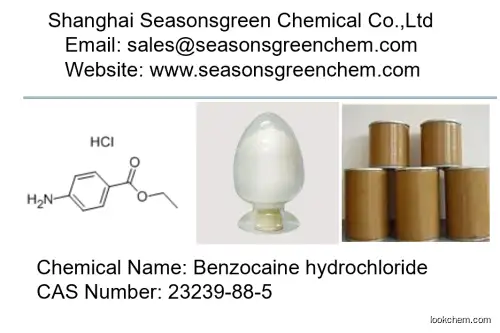 lower price High quality Benzocaine hydrochloride
