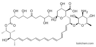 Amphotericin B, 8,9-dideoxy-10-hydroxy-7-oxo- CAS 1405-90-9