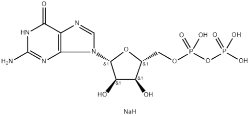 Guanosine-5'-diphosphate disodium salt manufacturer
