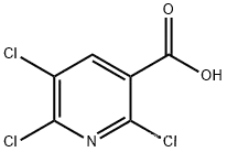 Manufacturer supply 2,5,6-tetrachloropyridine
