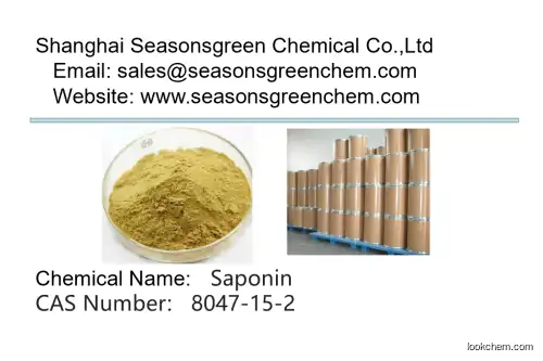 lower price High quality Saponin