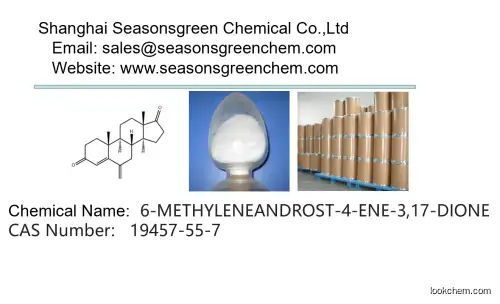 lower price High quality 6-METHYLENEANDROST-4-ENE-3,17-DIONE