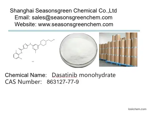 lower price High quality Dasatinib monohydrate