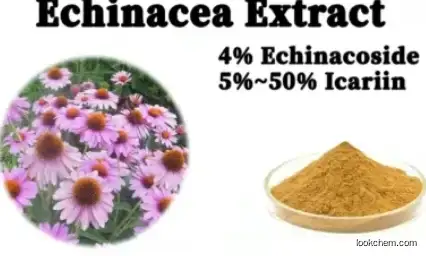 Echinacea Extract Echinacea Purpurea CAS 90028-20-9
