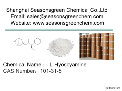 lower price High quality L-Hyoscyamine