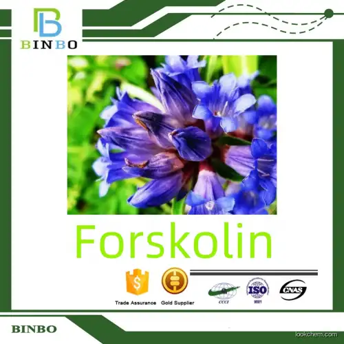 Natural Forskolin from Verbascum Thapsus Extract