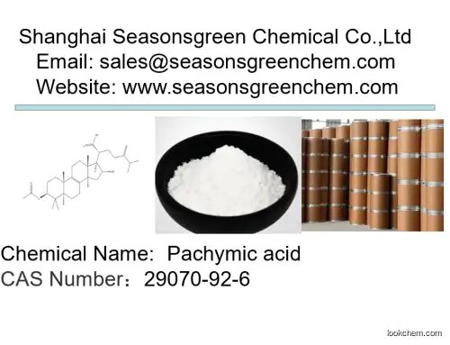 lower price High quality Pachymic acid