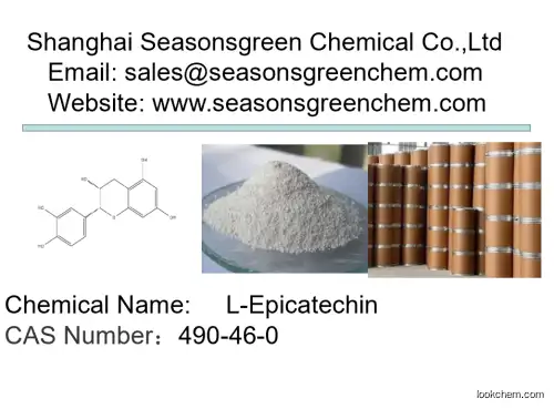 lower price High quality L-Epicatechin