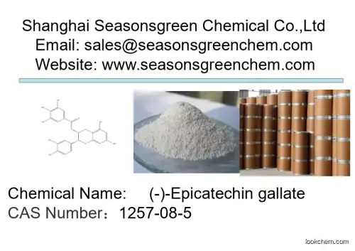 lower price High quality (-)-Epicatechin gallate