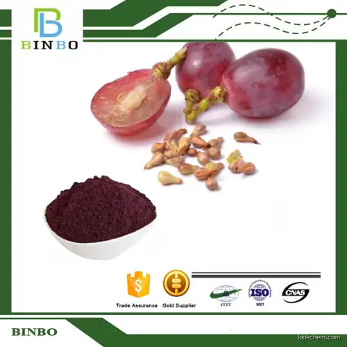 Grape Seed Extract OPC95% Oligomeric Proantho Cyanidins(OPC)