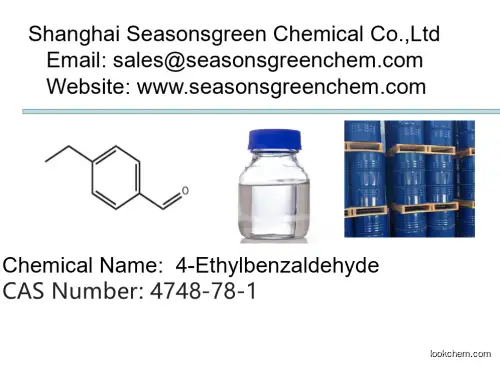 lower price High quality 4-Ethylbenzaldehyde