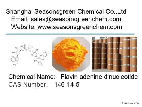 lower price High quality Flavin adenine dinucleotide