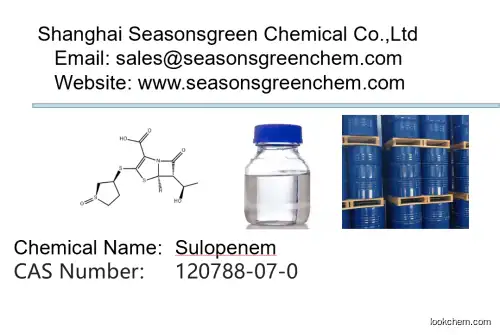 lower price High quality Sulopenem