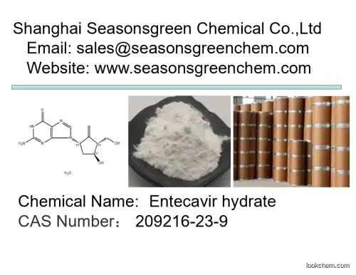 lower price High quality Entecavir hydrate