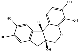 hematoxylin powder