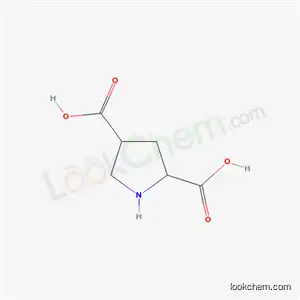 2,4-ピロリジンジカルボン酸