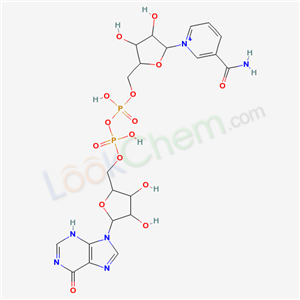 [[5-(3-carbamoylpyridin-1-ium-1-yl)-3,4-dihydroxyoxolan-2-yl]methoxy-hydroxyphosphoryl][3,4-dihydroxy-5-(6-oxo-3H-purin-9-yl)oxolan-2-yl]methyl hydrogenphosphate