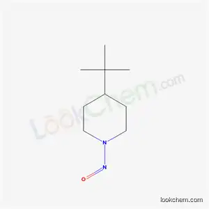 Molecular Structure of 46061-25-0 (4-tert-butylnitrosopiperidine)