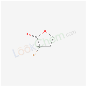 Click to see the large picture