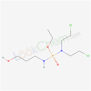 Click to see the large picture