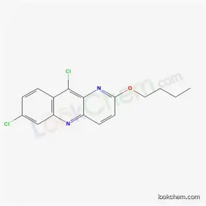 1-AZA-2-N-부톡시-6,9-디클로로-아크리딘