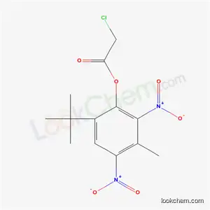 2,4-디니트로-6-tert-부틸-3-메틸페닐=클로로아세테이트