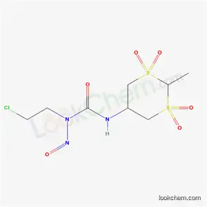 Molecular Structure of 60285-33-8 (1-(2-chloroethyl)-3-(2-methyl-1,1,3,3-tetraoxido-1,3-dithian-5-yl)-1-nitrosourea)