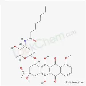 N-オクタノイルダウノルビシン