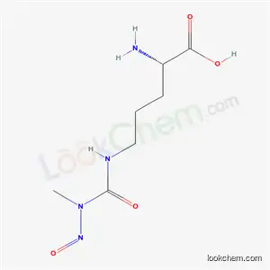 Molecular Structure of 63642-17-1 (N(delta)-(N-methyl-N-nitrosocarbamoyl)-L-ornithine)