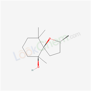 Click to see the large picture