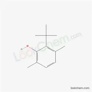 2-tert- 부틸 -3,6- 자 일레 놀