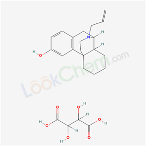 Click to see the large picture