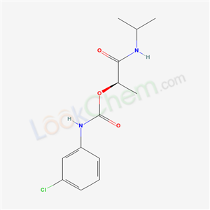 Click to see the large picture