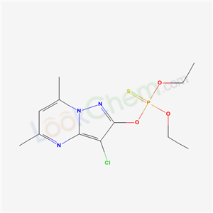 Click to see the large picture