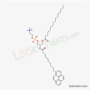 Molecular Structure of 70700-33-3 (1-palmitoyl-2-pyrenedecanoylphosphatidylcholine)