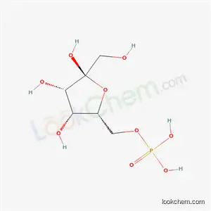 타가토스 6-인산