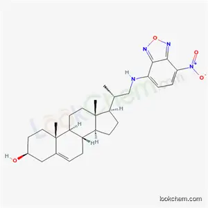 22-NBD 콜레스테롤