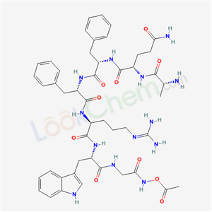 Click to see the large picture