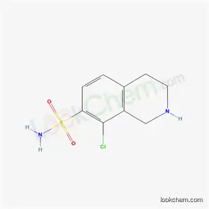 8-클로로-테트라히드로이소퀴놀린-7-술폰아미드