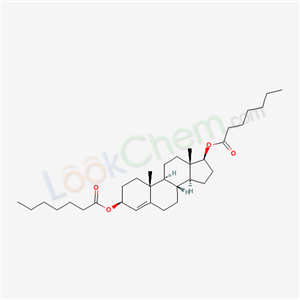 Click to see the large picture