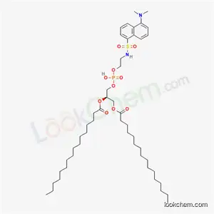 1,2-DIHEXADECANOYL-SN-GLYCERO-3-PHOSPHO-[N-DANSYL]에탄올아민