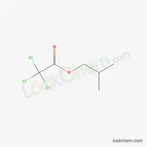 Molecular Structure of 33560-15-5 (2-methylpropyl trichloroacetate)