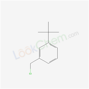 1-tert-butyl-3-(chloroMethyl)benzene