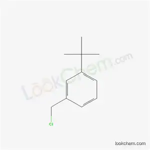 Molecular Structure of 38580-79-9 (1-tert-butyl-3-(chloroMethyl)benzene)